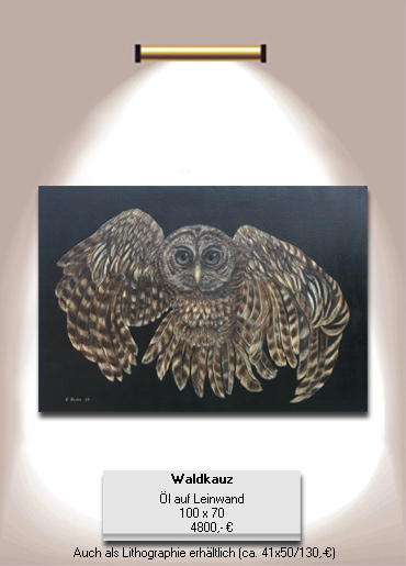 Waldkauz